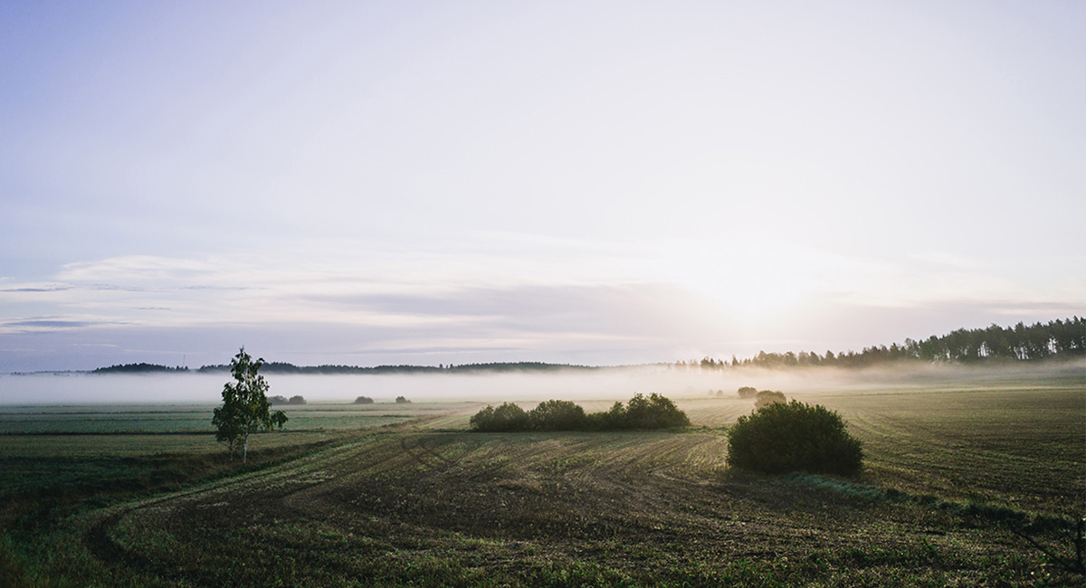 Banner landscape